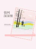e网情深解法